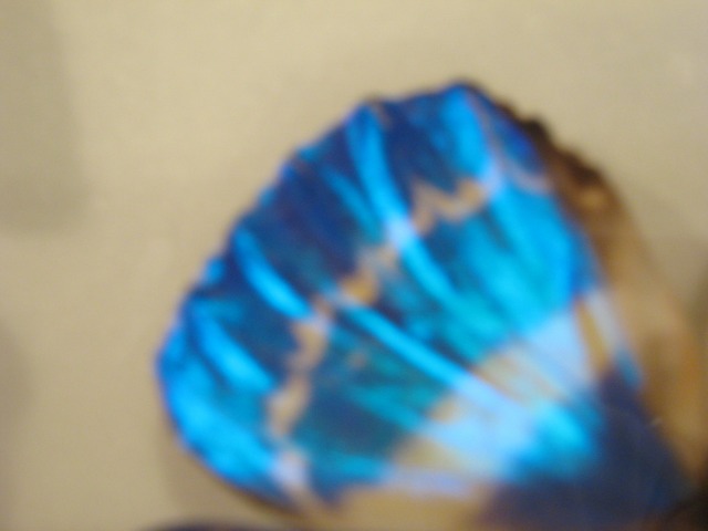 katoushi (10).jpg