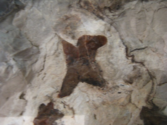 katoushi (15).jpg