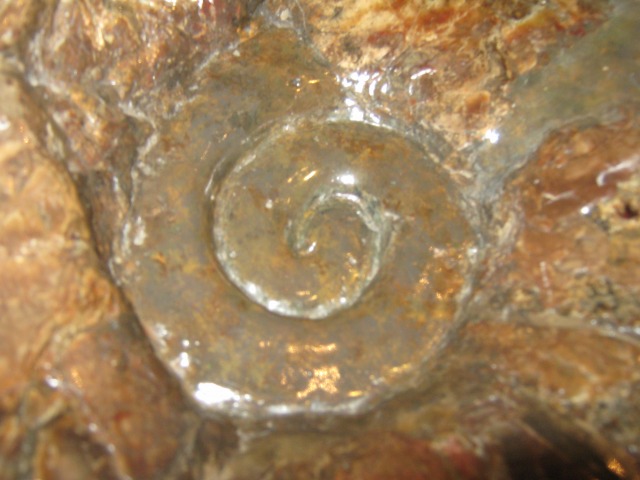 katoushi (9).jpg