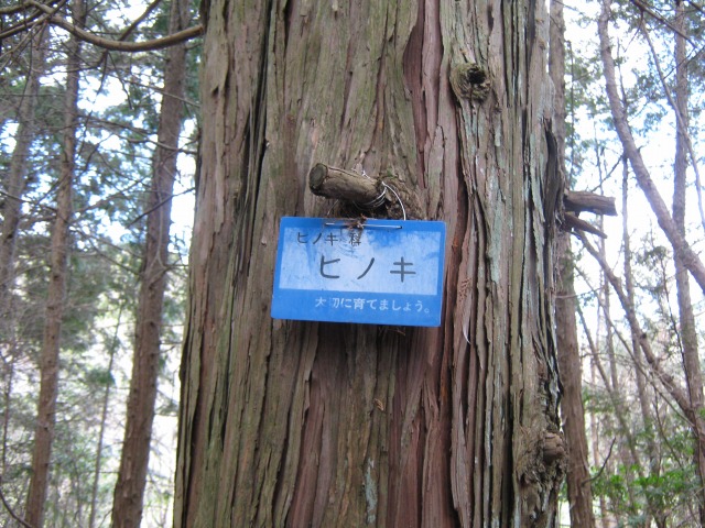 10.ashiya.jpg
