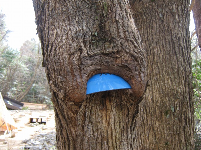 9.ashiya.jpg