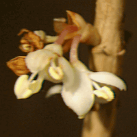 0019z_am.gif
