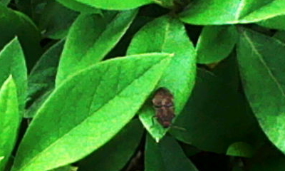 r_h_0053.jpg