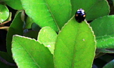 r_m_0013.jpg