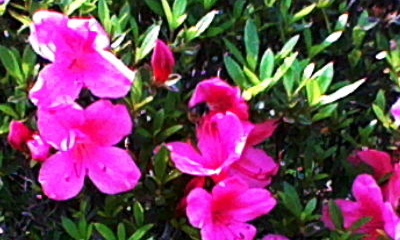 r_m_0060.jpg