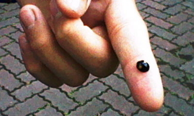 s_k_0012.jpg