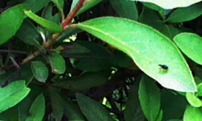 s_k_0083.jpg
