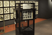 anm-2392.gif