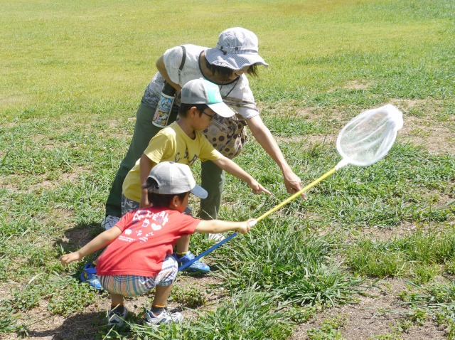 http://www.hitohaku.jp/blog/2016/09/04/s-batta%20oyako%20P1090427.jpg