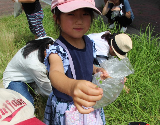 http://www.hitohaku.jp/blog/2017/07/03/s-happanoIMG_5339.jpg