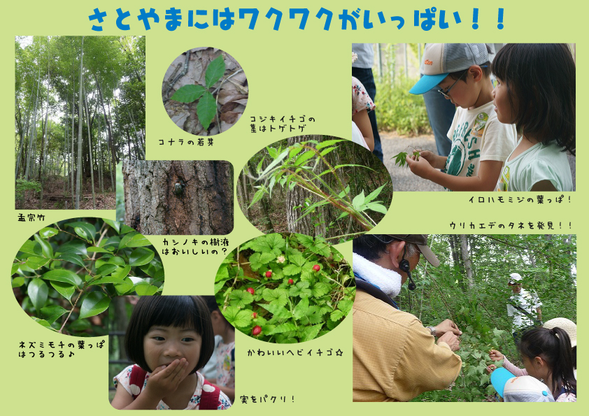 http://www.hitohaku.jp/blog/2018/05/satoyama2.jpg