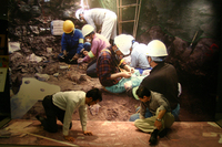 kyoryu9.JPG