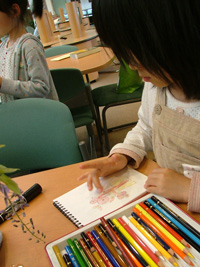DSCF5264.JPG
