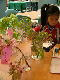 DSCF5273.JPG