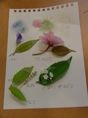 DSCF5275.JPG