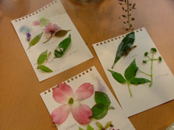 DSCF5278.JPG
