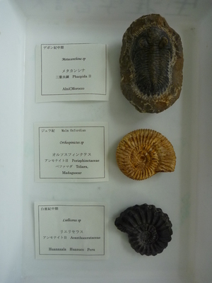 P1000019b.JPG