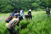 090529043r.JPG