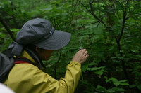 090529086r.JPG