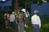 nakumushi3.JPG