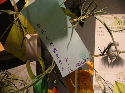 DSCF0080.JPG