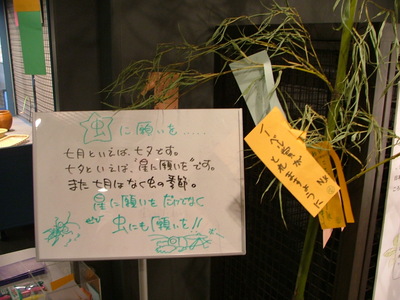 DSCF1662.JPG