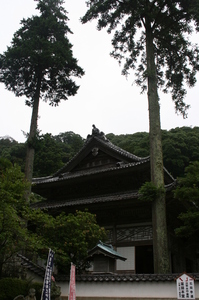 IMG_8206.JPG