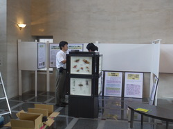 P1000341.JPG