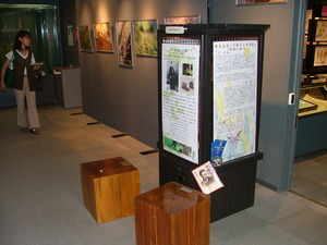 DSCF0216.JPG