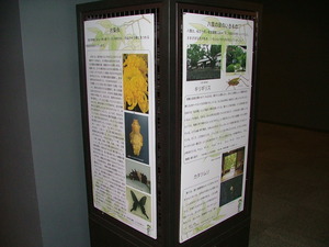 DSCF0217.JPG