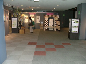 DSCF0218.JPG