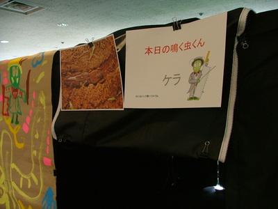 DSCF0225.JPG