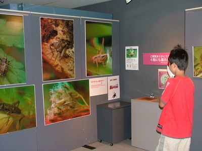 DSCF0227.JPG