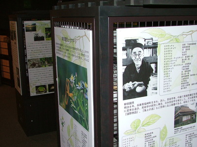 DSCF0233.JPG