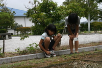 IMG_8275.JPG