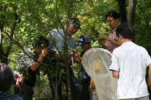 IMG_8521.JPG