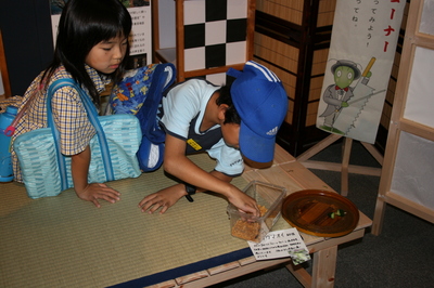 IMG_9305.JPG