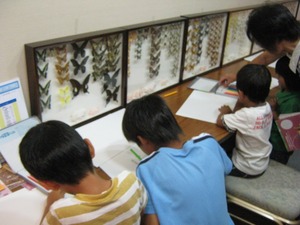 katoshi-opening (11).jpg
