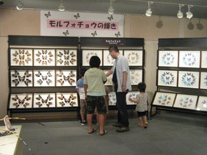 katoshi-opening (7).jpg