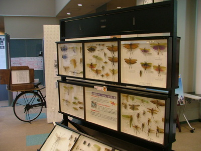 DSCF0393.JPG