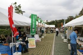 DSC00319.JPG