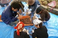 DSC00432.JPG