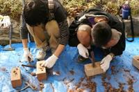 DSC00455.JPG