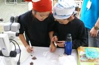 DSC00505.JPG