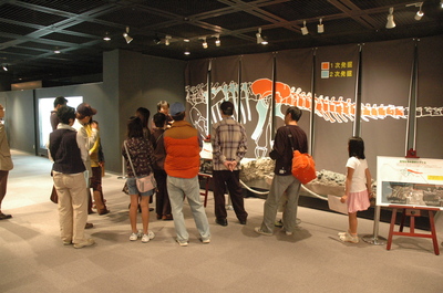 DSC_1597.JPG