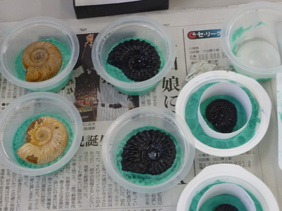 型どり