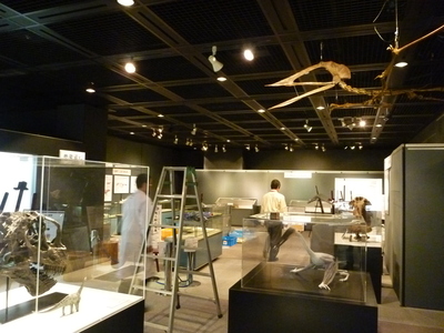 展示室内02