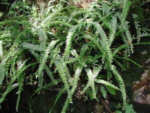 DSCN3591.JPG