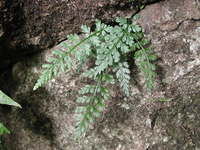 DSCN4190.JPG