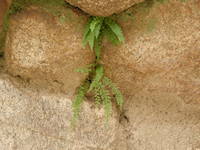 DSCN4804.JPG